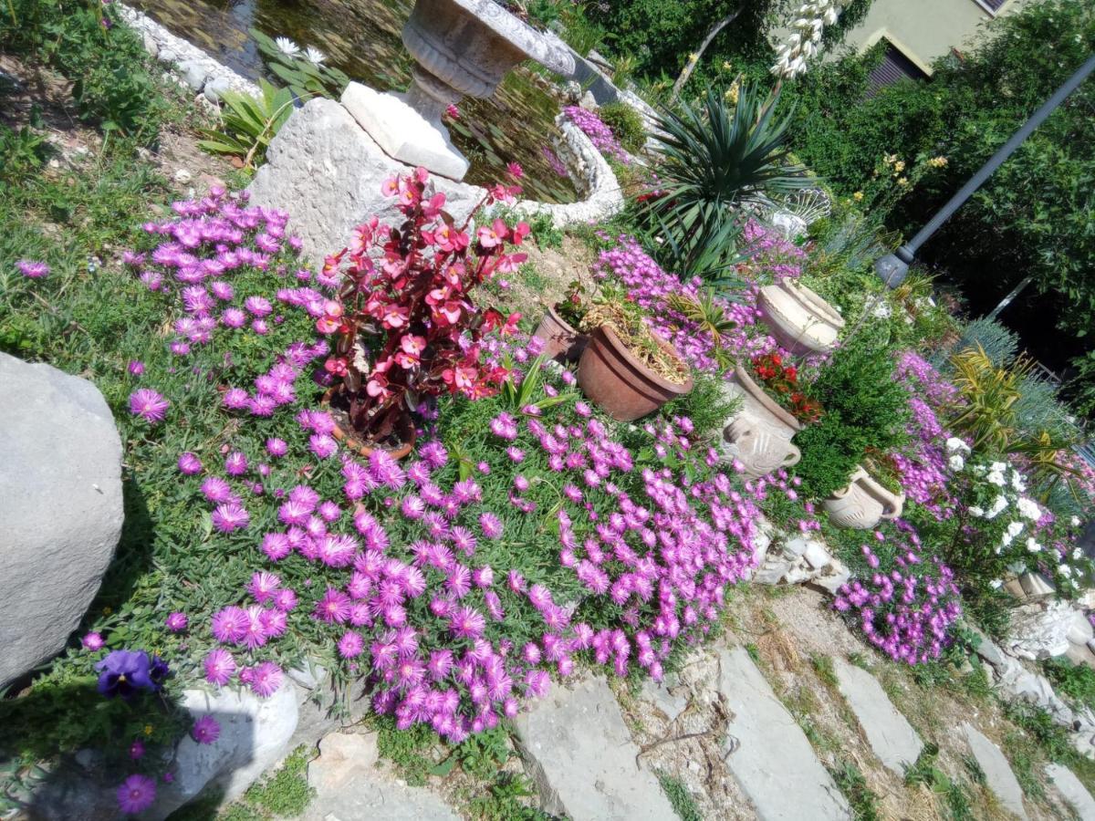 Villa Fiorita Monfalcone Εξωτερικό φωτογραφία