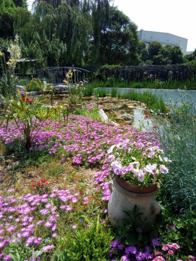 Villa Fiorita Monfalcone Εξωτερικό φωτογραφία