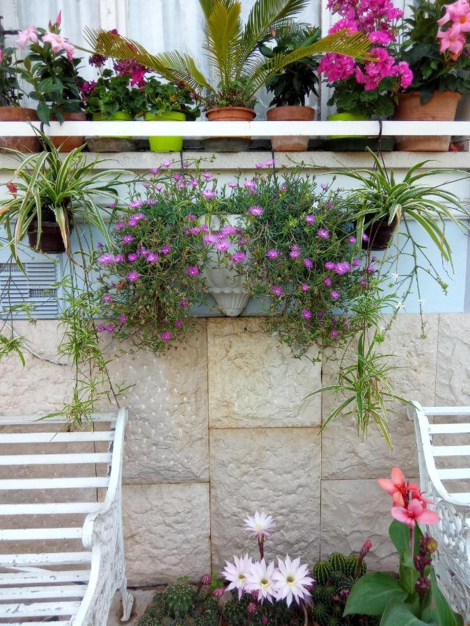Villa Fiorita Monfalcone Εξωτερικό φωτογραφία
